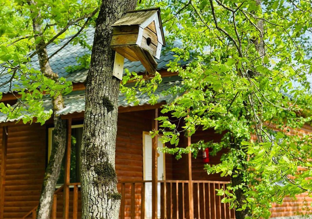 Deluxe Park Qusar Resort & Spa Hotel 외부 사진
